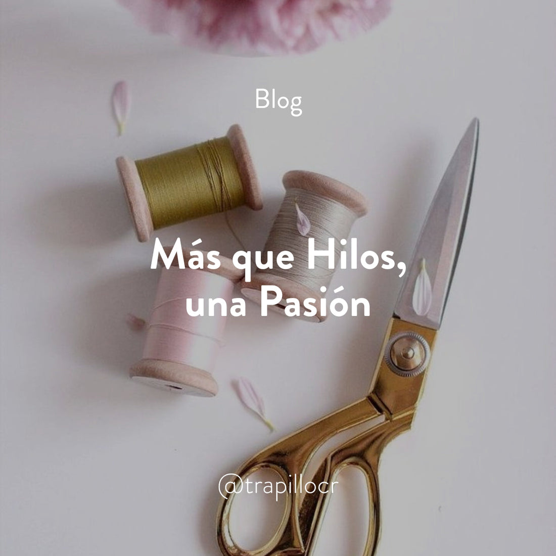 Más que Hilos, una Pasión