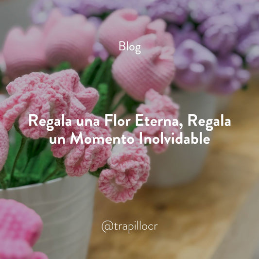 Regala una Flor Eterna, Regala un Momento Inolvidable