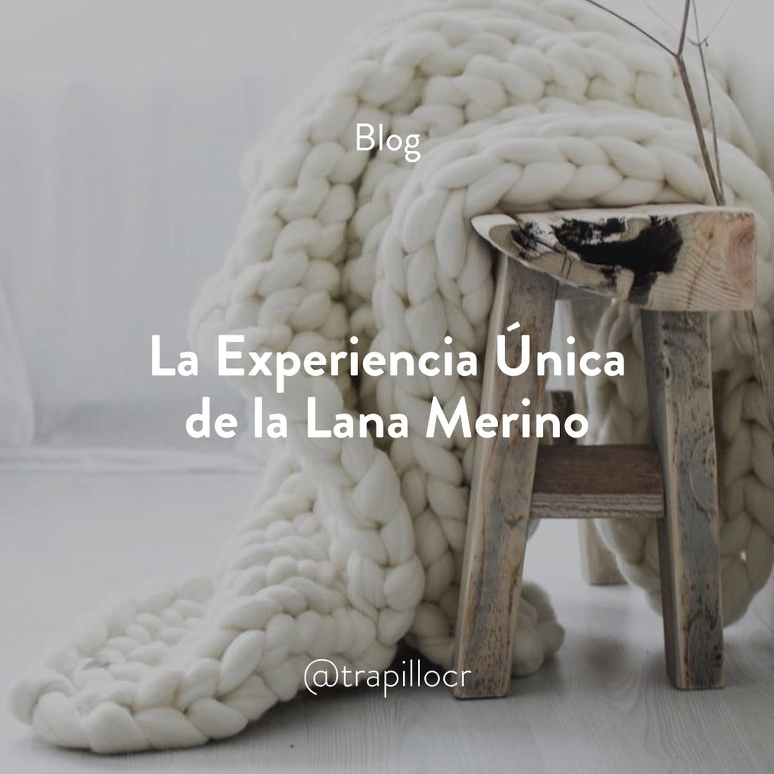 La Experiencia Única de la Lana Merino