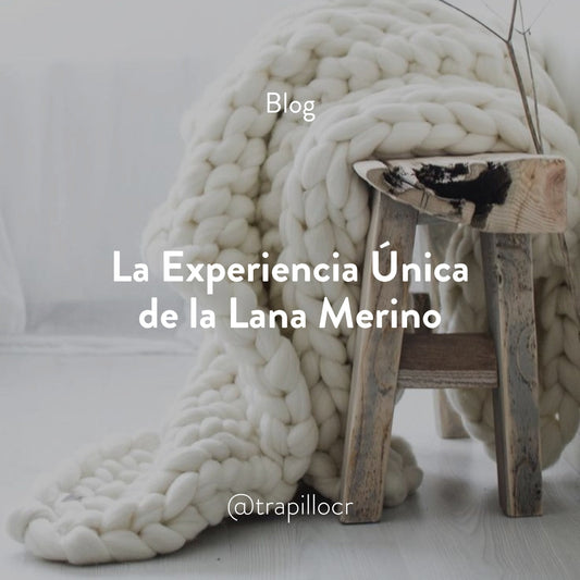 La Experiencia Única de la Lana Merino